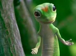Câu chuyện cảm động về chú thạch sùng ở Nhật Bản